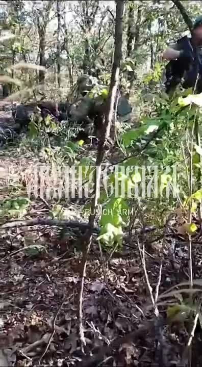 ������ � ���� ����� ���������� ��� �� ����������� �����������