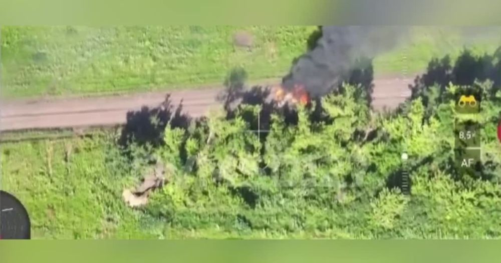 ����� �����: ����������� �����������. ���� ������ � ����������� ����������� � ����� ����������, ����� ����� ����� �� ���� ��������� ����� � ����� ����