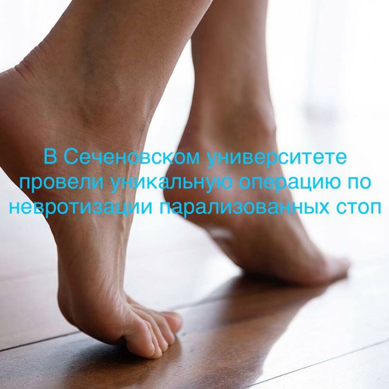 � ���� �������� ������� ��������� ������� �����