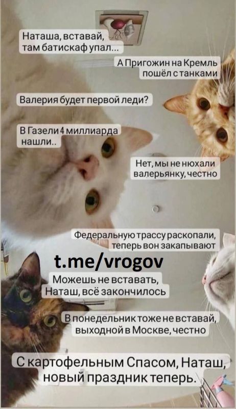 �������� �����: � ������������ � ����� �����������