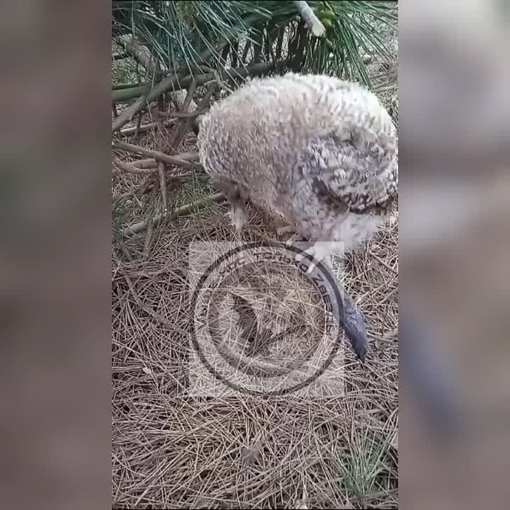 ������ ��� � �����. ��������� ����������� �����, �������� ��������� � ��� ������ ������ �� ������