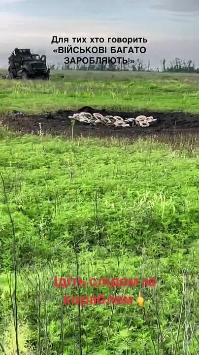 ������ �������: ������������ ��������������� International MaxxPro ��� �� ����������� �����������