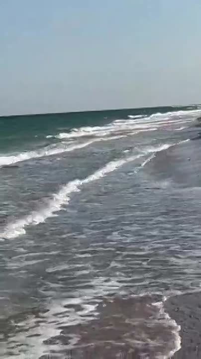 �� ����������� ����������� ������ ��� �� �� ���� ��� �������� ����� � ������ �������