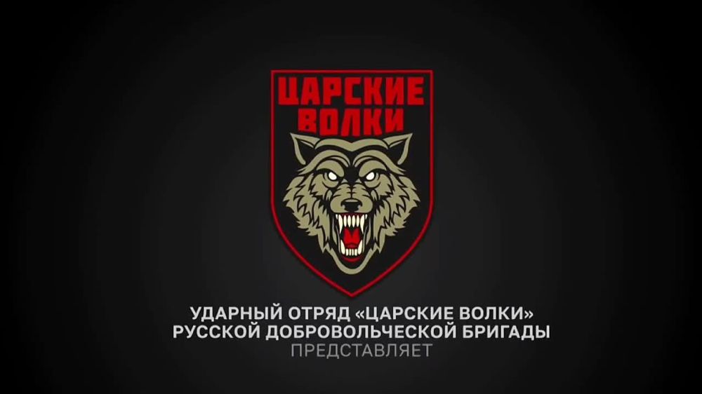Евгений Лисицын: На Запорожском направлении российские подразделения сожгли колону техники украинских боевиков