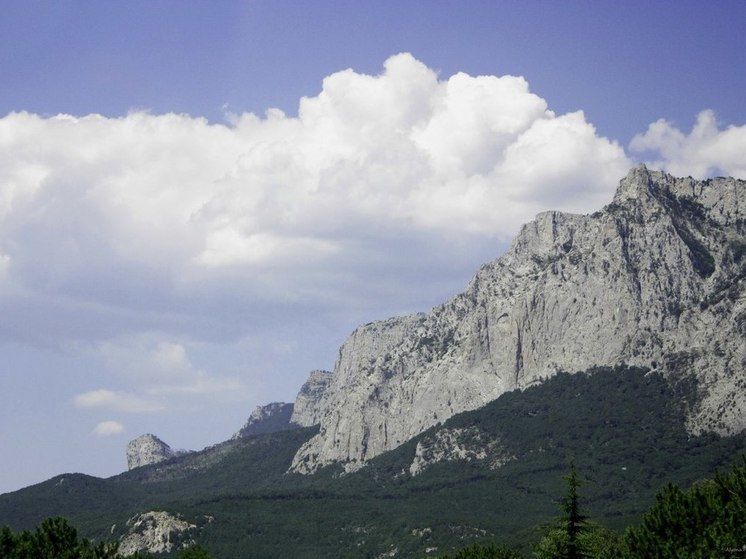 � ����� �������� ����� �������� "�������"