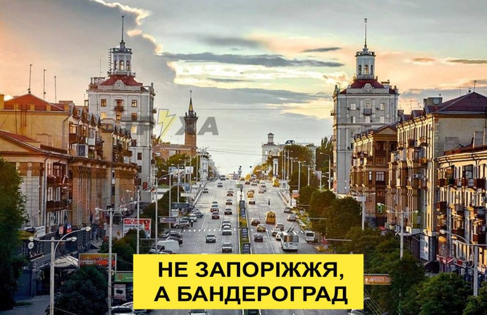 ���� ��������: ��������� ����� �������������