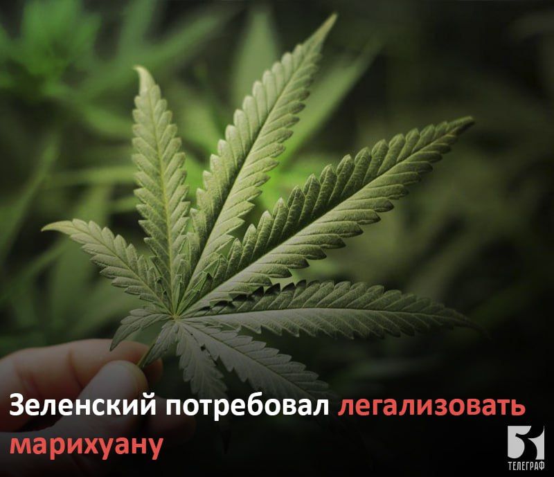 ��������� ���������� ������������ ���������