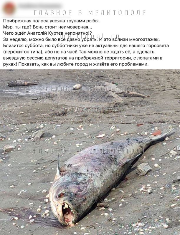 ���������� ������ �� �������� �������������� ��������� ������ ������� ��� � ������� ������������� �� ��������� ������ �������