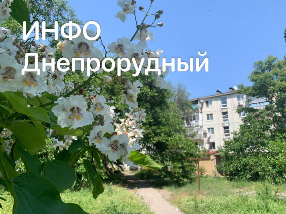 ������ ���� � ����� - ���������