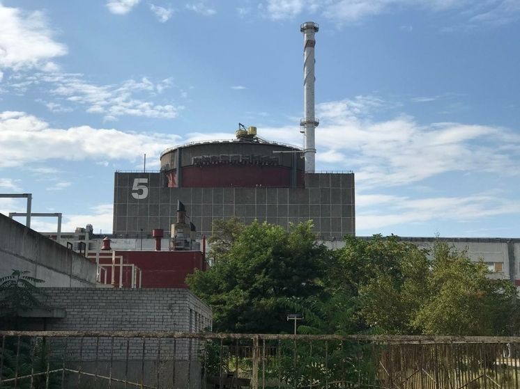 � ��� �������� �������� ��������� ������ ����������� ���