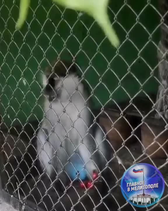 �������������� ������� ����� �������!