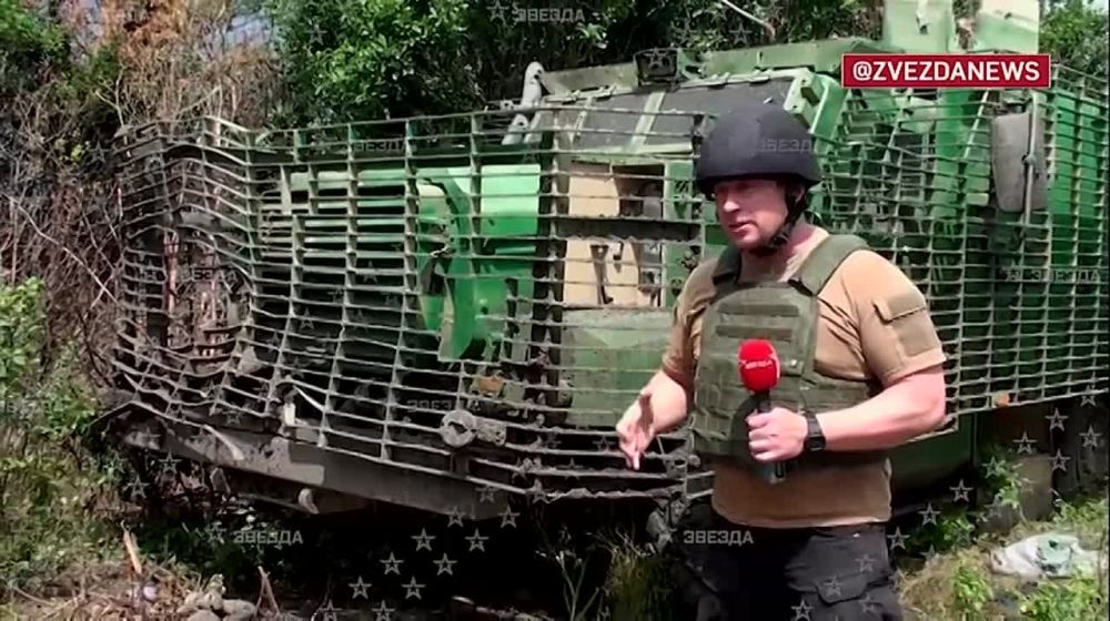 ���������� ������� �������� ��������� ���������� ����������� Mastiff � Husky