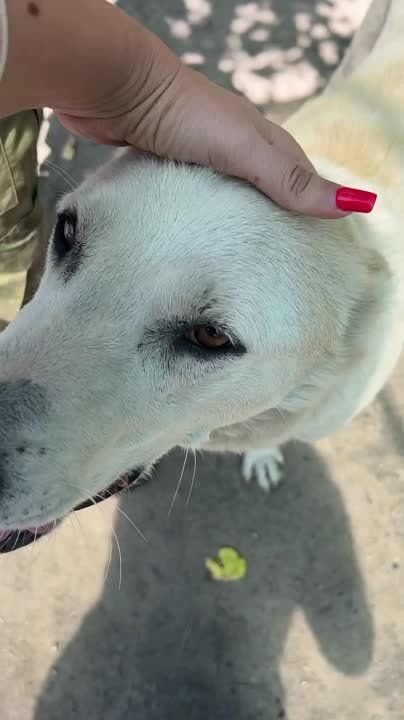 ������� ����������: ����� ��������� ������. ���� ������������.. ��������� ��� � ���� ����������, ������� ���� � ����� ��...