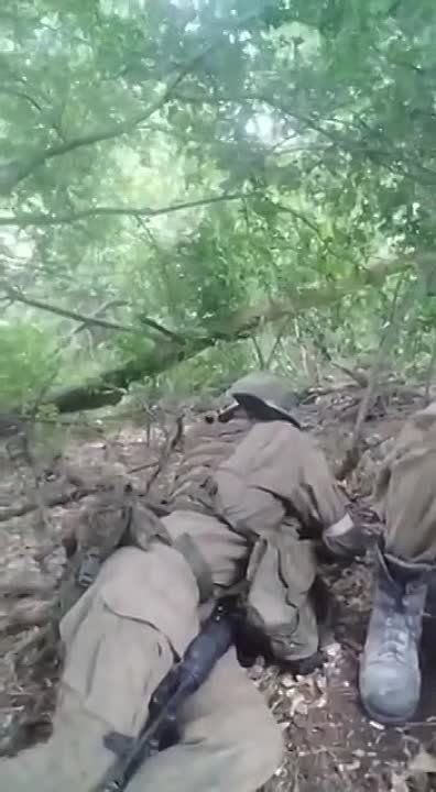 ������� ����� ����, ������, �������