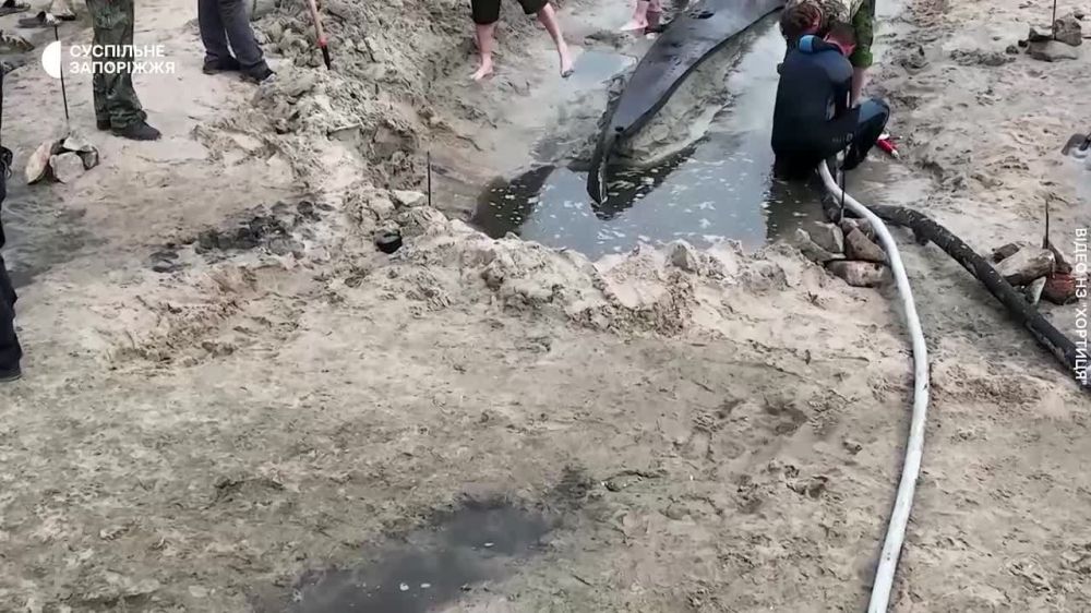� ������ ���������, �������� �������������� �������� �������, �� ����������� ������ ����� �. ������� ������� �����-��������, ������� �� 300 �� 500 ���