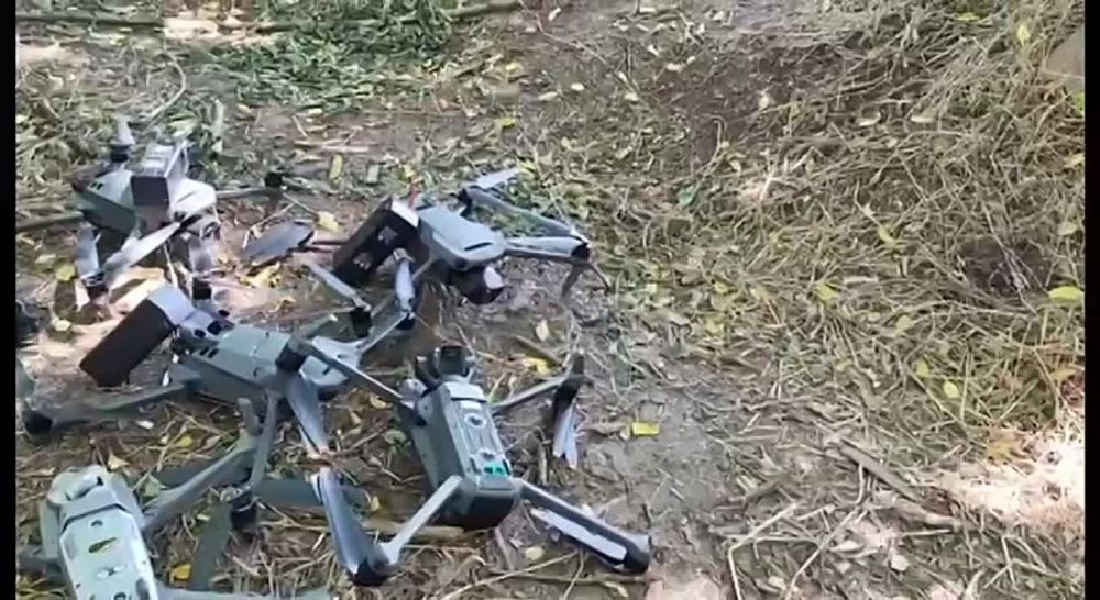���� �����, ������� �� ����������� ����������� ���������� ������������� �����, ������� �� ��������