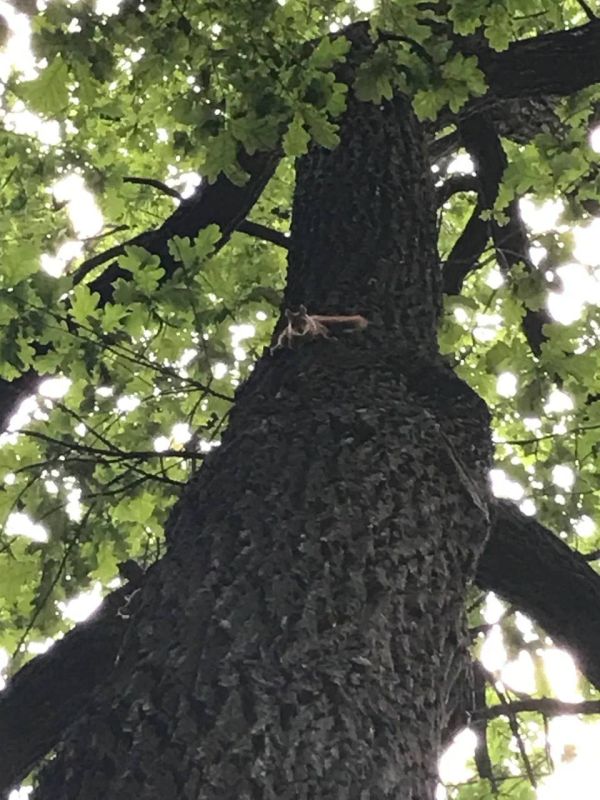 � ���������� ����� ������ ����