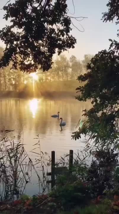 ������ ����. ������ ���� ������� �������� �������� ��� ������