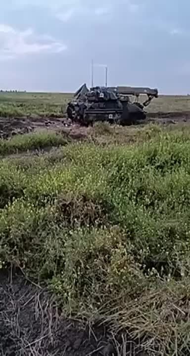 ���� ����� ������� ���������� ������� ���� � ����������� �������