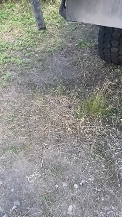 ������������ ��������������� �����-2 ��� �� ����������� �����������