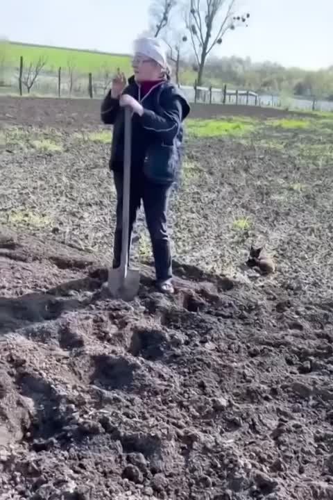 ������ ������: � ������ �����! �������������, ��� �������� ���������� ���� �� �������?