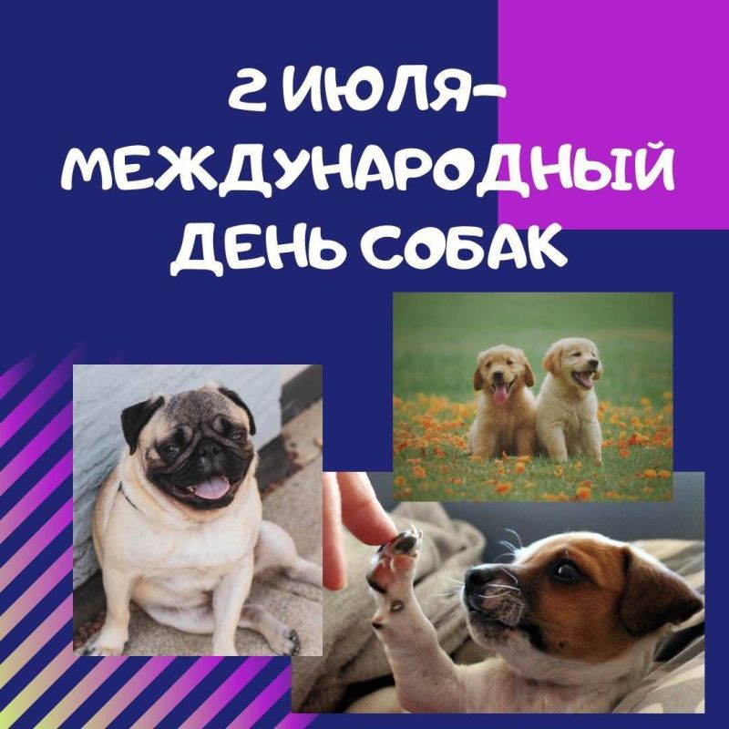 2 ���� �� ���� ���� �������� ������������� ���� �����