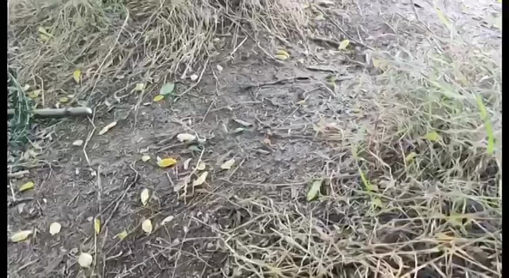 ���� ������. �������������� �� ����������� ����� 1430 ������������� ���������� � ��� �� ������ ����������� ����� ������