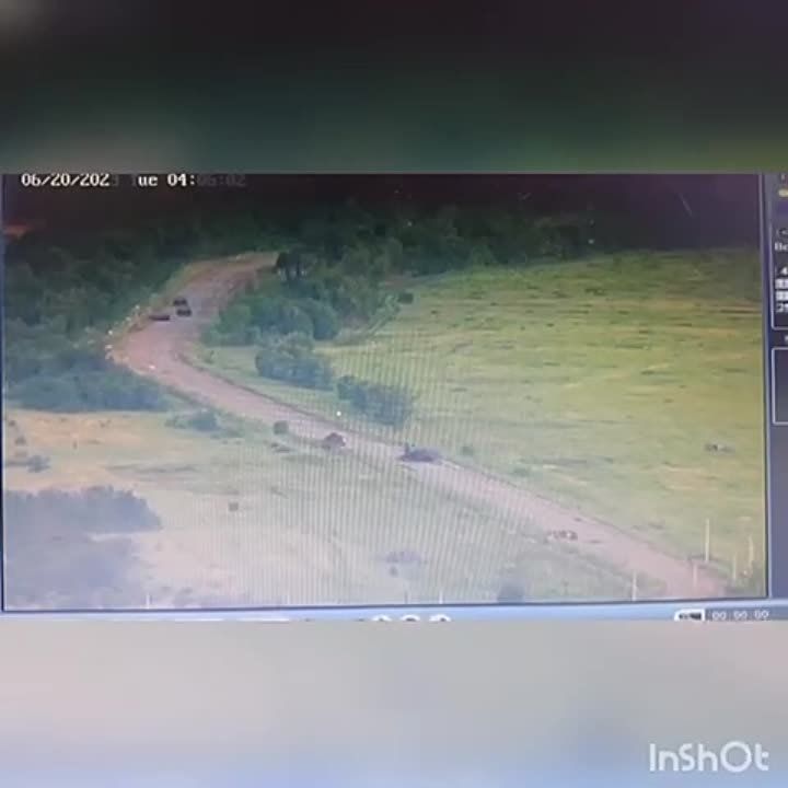 11 ����� ���������� ������� ��� �� ����������� �����������