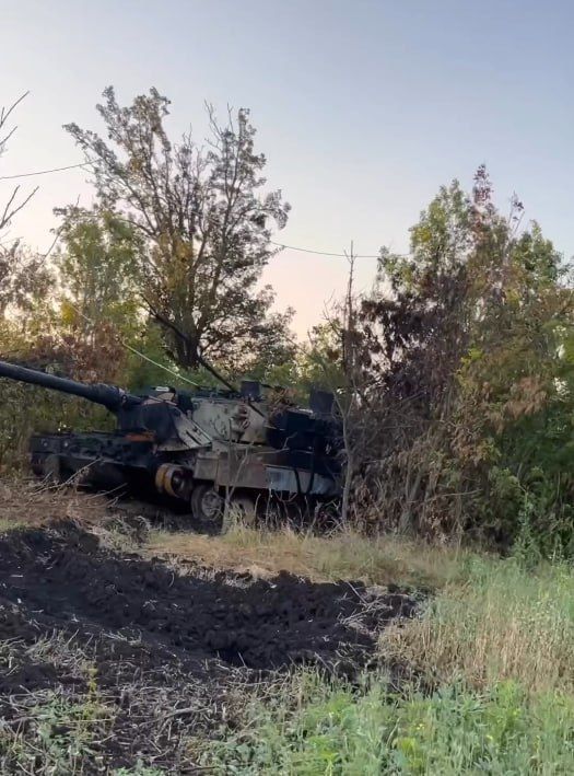 ��� ���� ��������� ������ �������� Leopard 2�6 ���������� �������� �� ����������� �����������