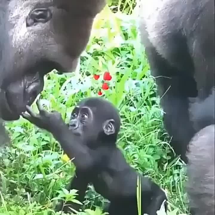 #����������. �������-�������� ������� ����� ������ ����, � �������, �� �������� ��, ��� ��� �����) �� ��� ��� �������-����...