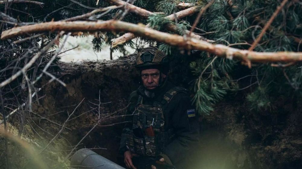 �� ��������� ��� ����� �������� ������ �������� � ����������� ��������