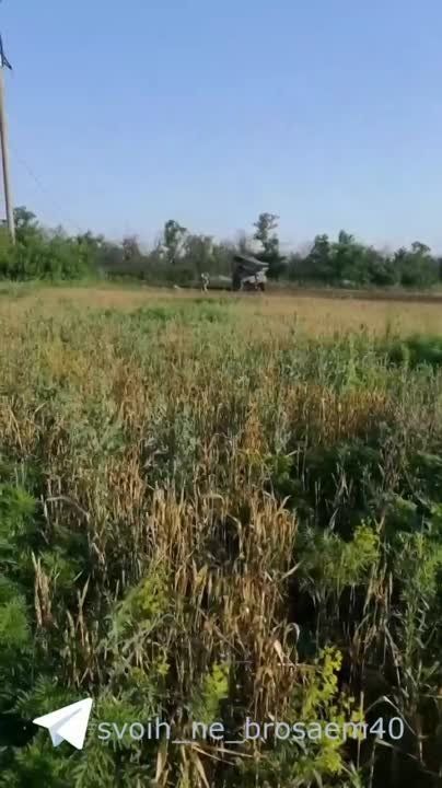 ����� �����: ������ ���� "����" �� ����������� �����������