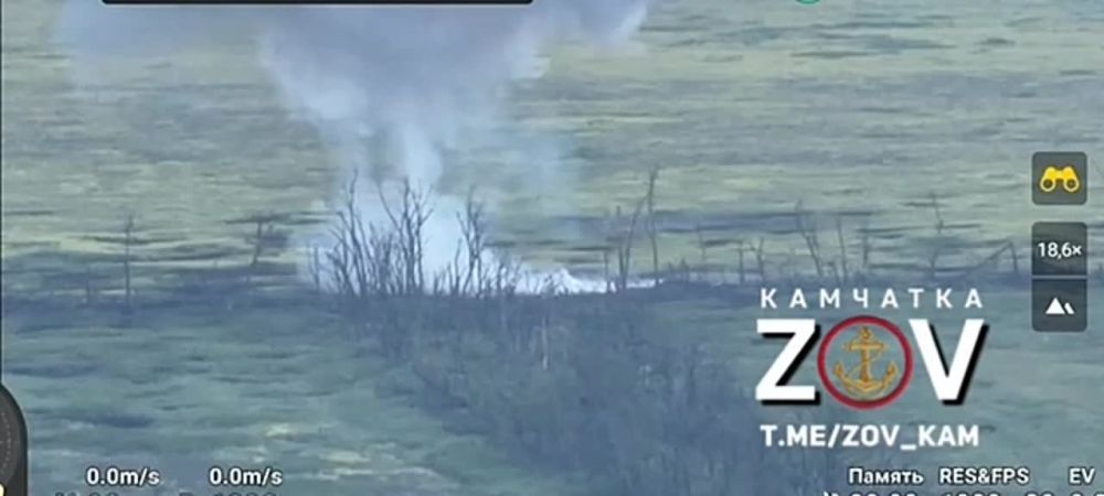40 ������� ������� ������ "�����������" �������� ������� �������� �� ����-�������� �����������