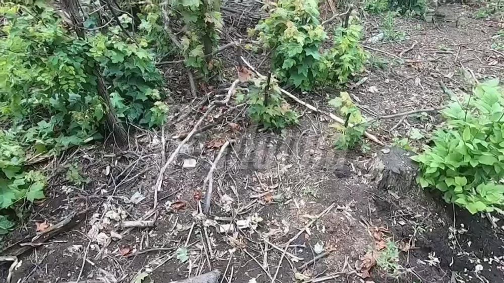���������� �� �������� �� �������� ������� ��������� ��������� ��� ����� � �������� � ���� ����������� ��������� ������� �������
