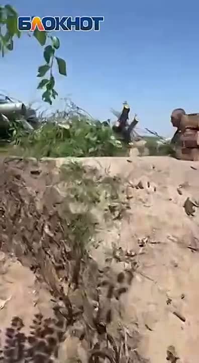 �������� ������� ��� ������������: ����� ��������� ������ Z� ��������, ��� � ��� ������ ������ ������� ����