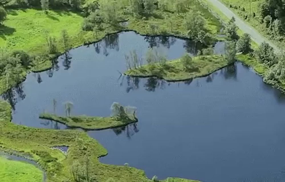 � �������� �� ����� �� �������� ���� �������� �������, ������� ����� ������ �������