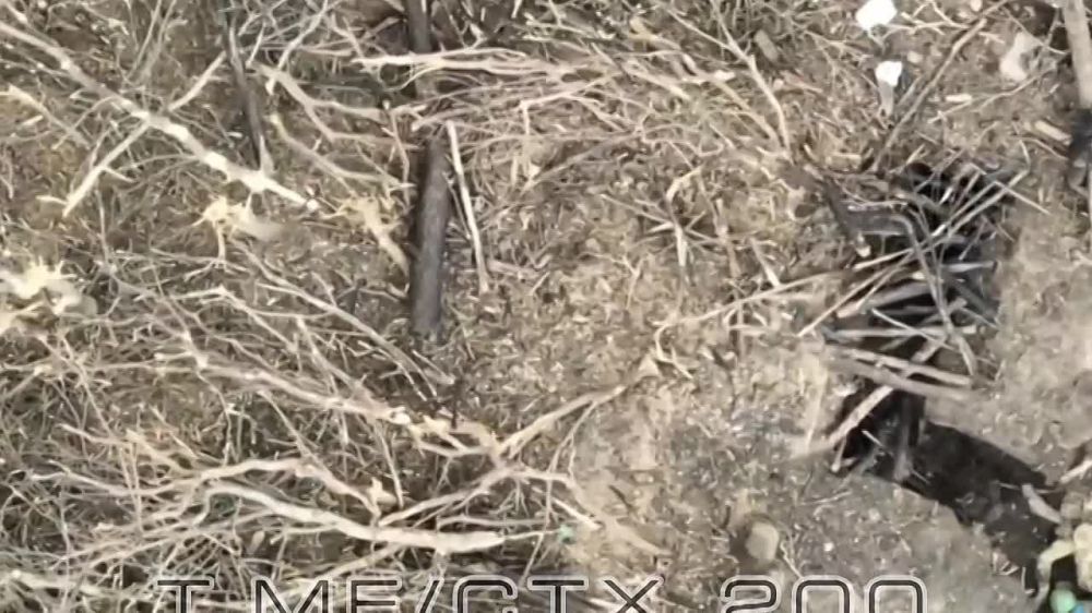 Евгений Лисицын: Приходят хорошие новости с Запорожского фронта