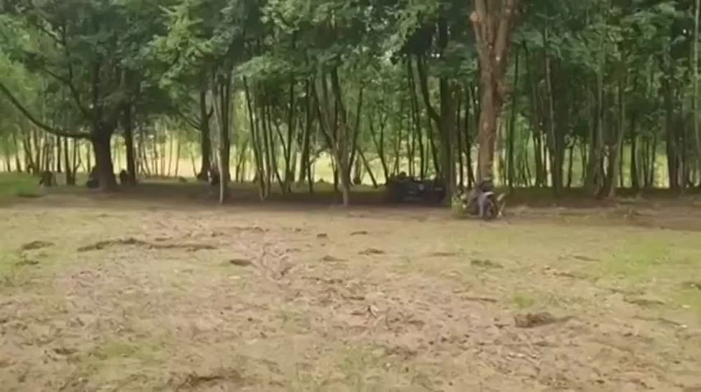� ��������� ������������ ������ ���� ��������