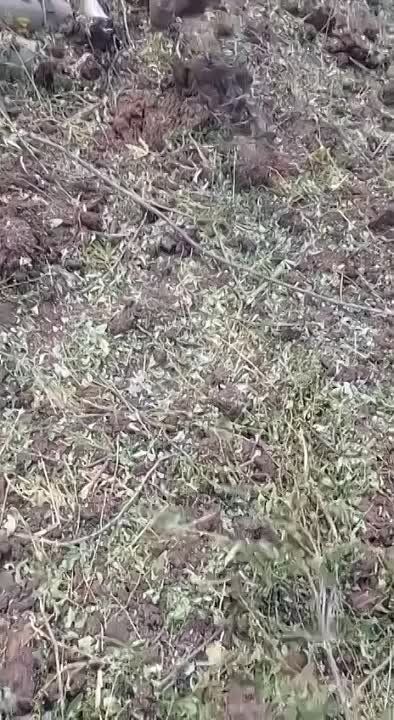 ���������� 155-�� ����������� ���������� �������������� ��������� �109L ��� � ����������� �������