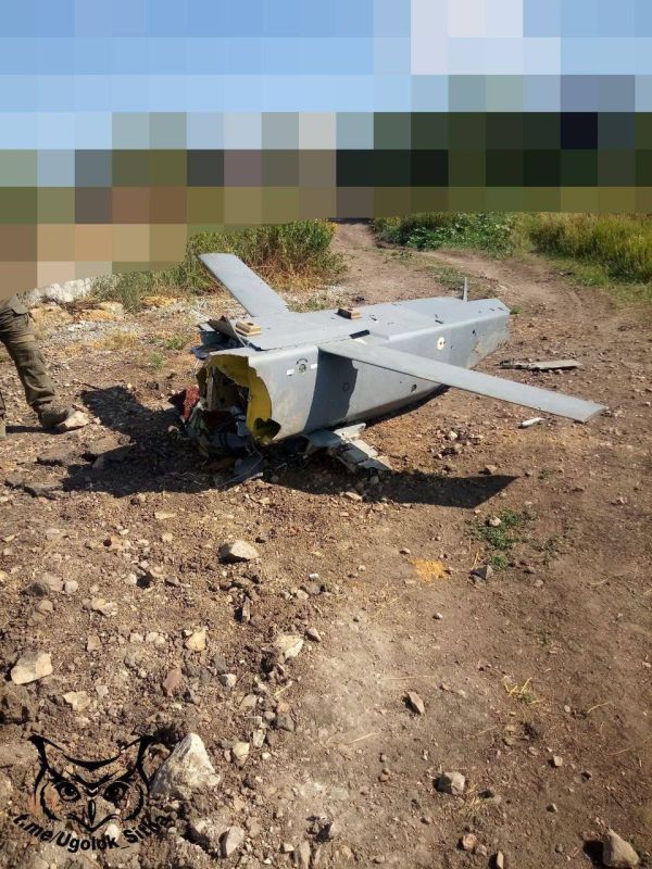 Юрий Котенок: Обломки ракеты Storm Shadow, сбитой российскими средствами ПВО на Запорожском направлении