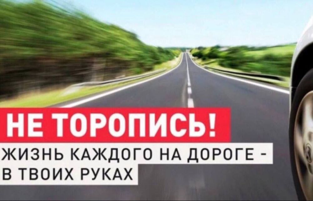 ���������������� ����������� ������� ����������