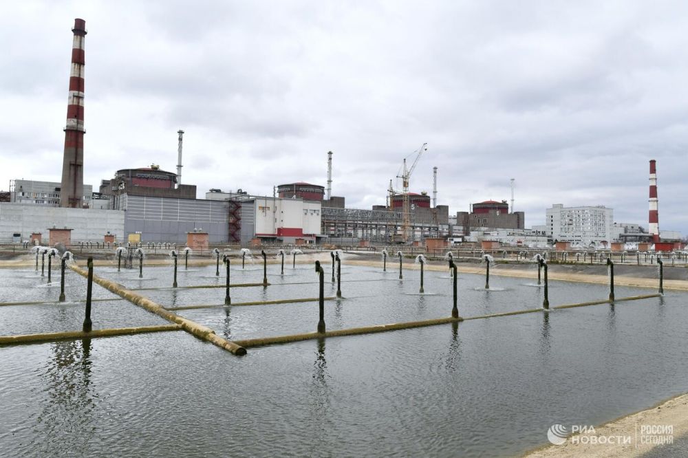 ��� ����� ������� ����� �� ���������� ����, ������� ������