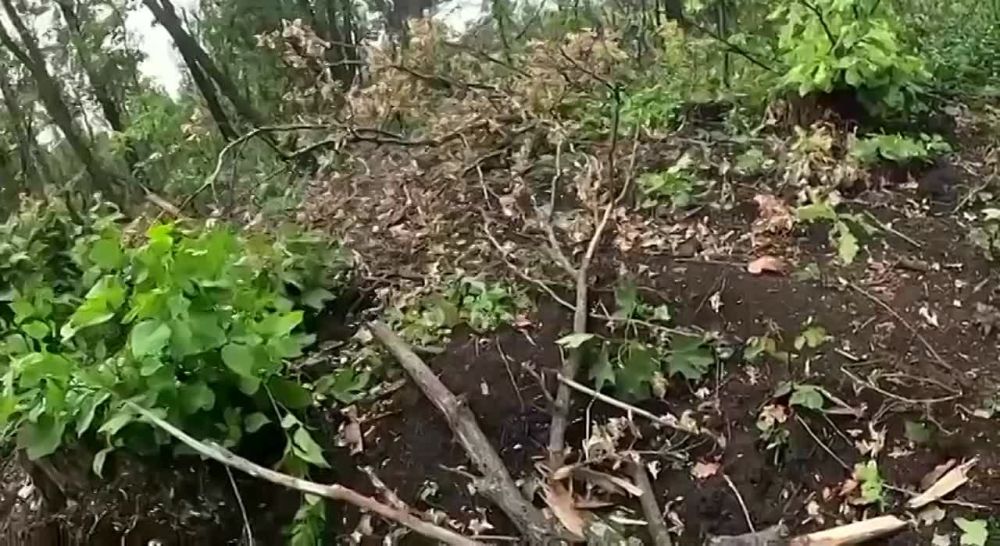 �������� ���������� ����������� ������ ���������� ������ �� ����������� �����������