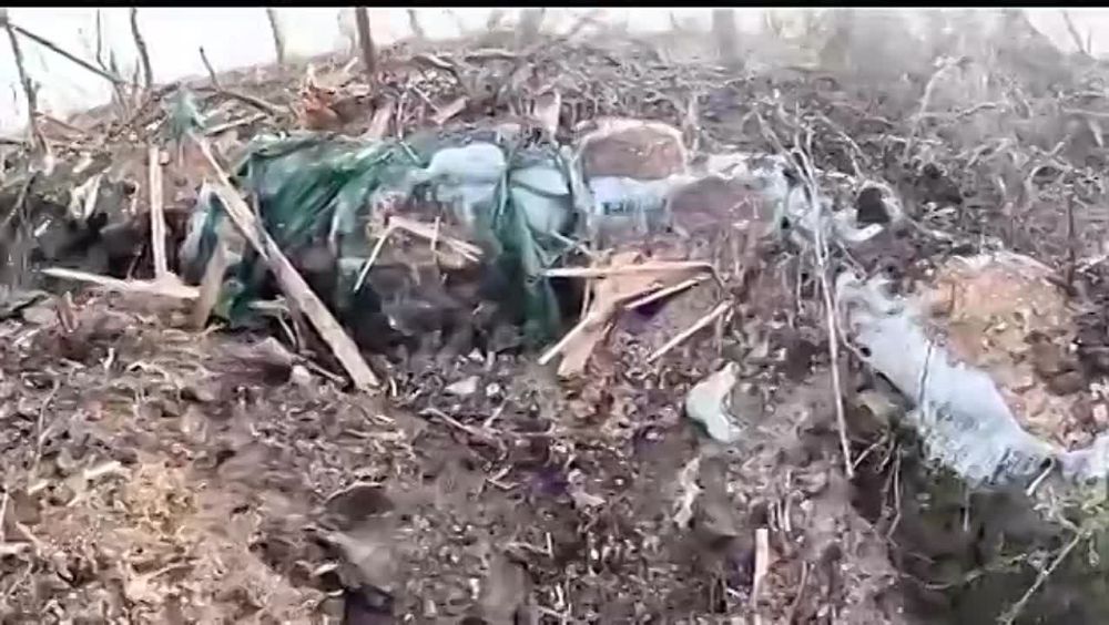 ������� ���������: ������������ ������ ������ ������ �������������� Leopard 2R HMBV ��� �� ����������� �����������