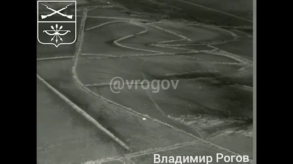 �������� �����: ������� ������������ ������������� ������� ���������� ������� �������� �� ����������� ������