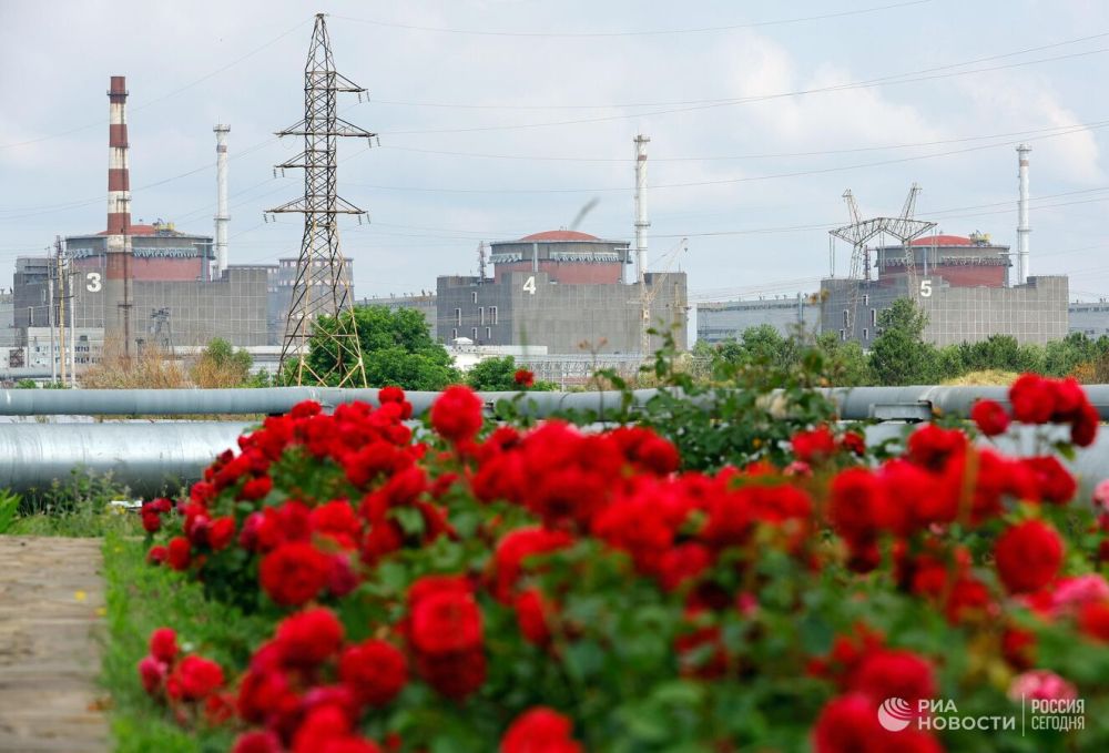 В НАТО заявили, что не стоит опасаться скорого нападения на Запорожскую АЭС