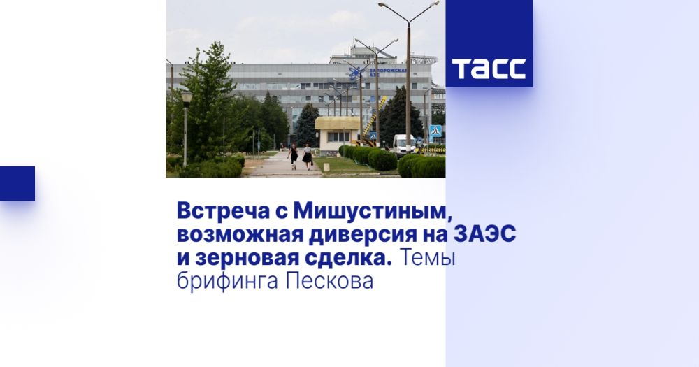 Встреча с Мишустиным, возможная диверсия на ЗАЭС и зерновая сделка. Темы брифинга Пескова