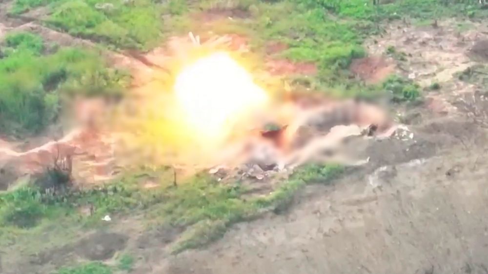 ���� ����� � ������� ������� �� ����������� �����������, �� ���� ��������� FPV-�����