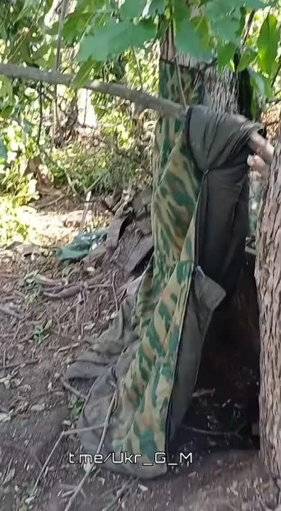 �� ���������� ������� ��������� ����� ���� ���� ��������� ����������������� ���������� � �������������� ����� � ���� ���������, � ���������� ���� ���� ����� ������������� ������ ������� � ���������
