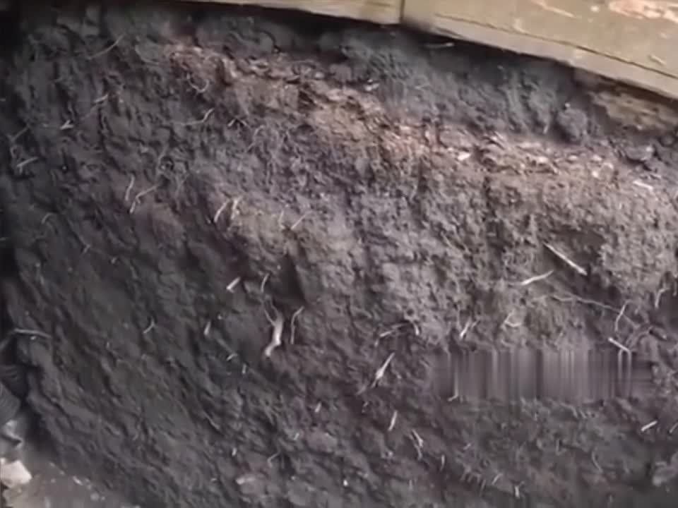 ����� �������� ����������� �������� �������� �� ���� ��������